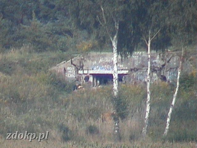 2002-08-31.30 mru -  widok na 766.JPG - Midzyrzecki Rejon Umocniony - Panzerwerk 766, blok wejciowy